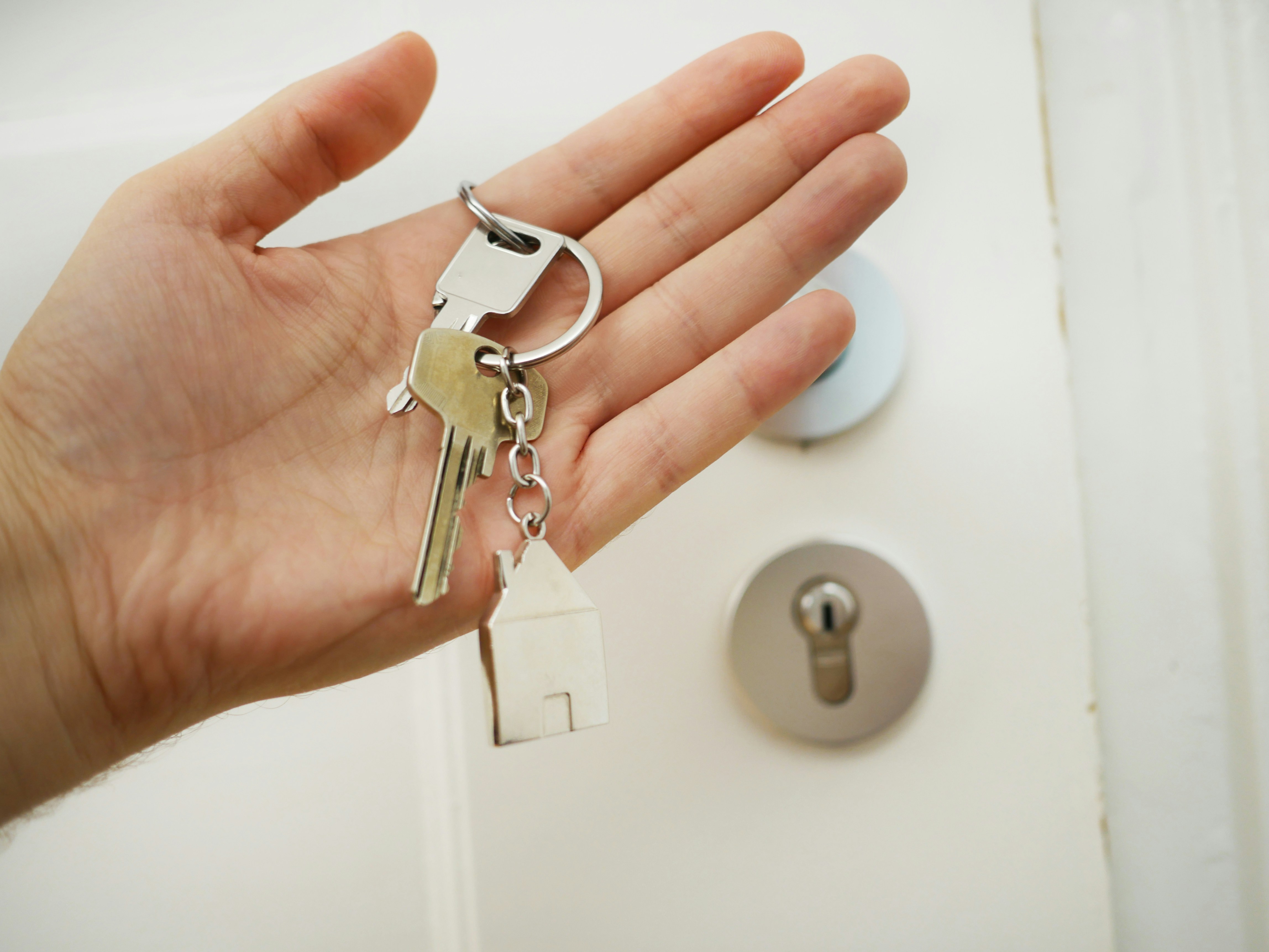 Ferruzzi immobiliare contatto